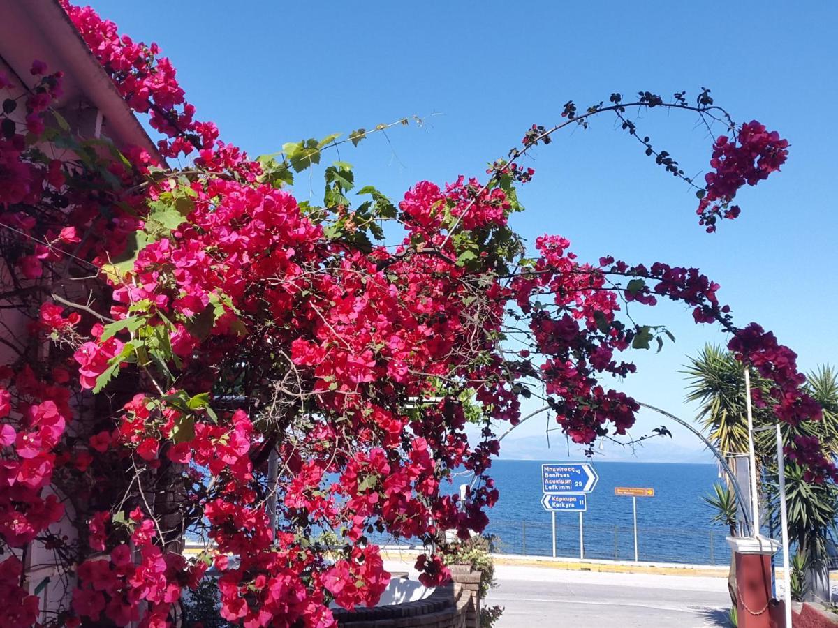 Faliraki Apartments Benitses  Buitenkant foto